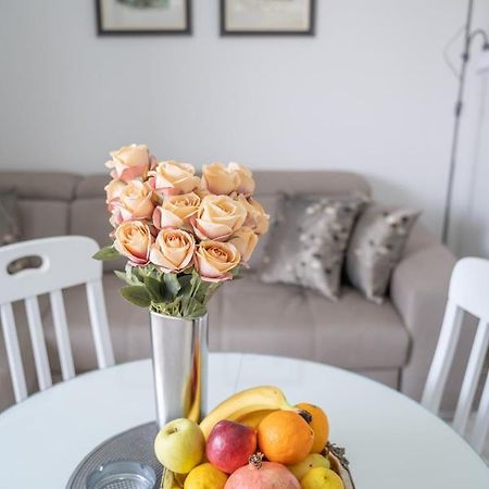Apartment Adriana 科托尔 外观 照片